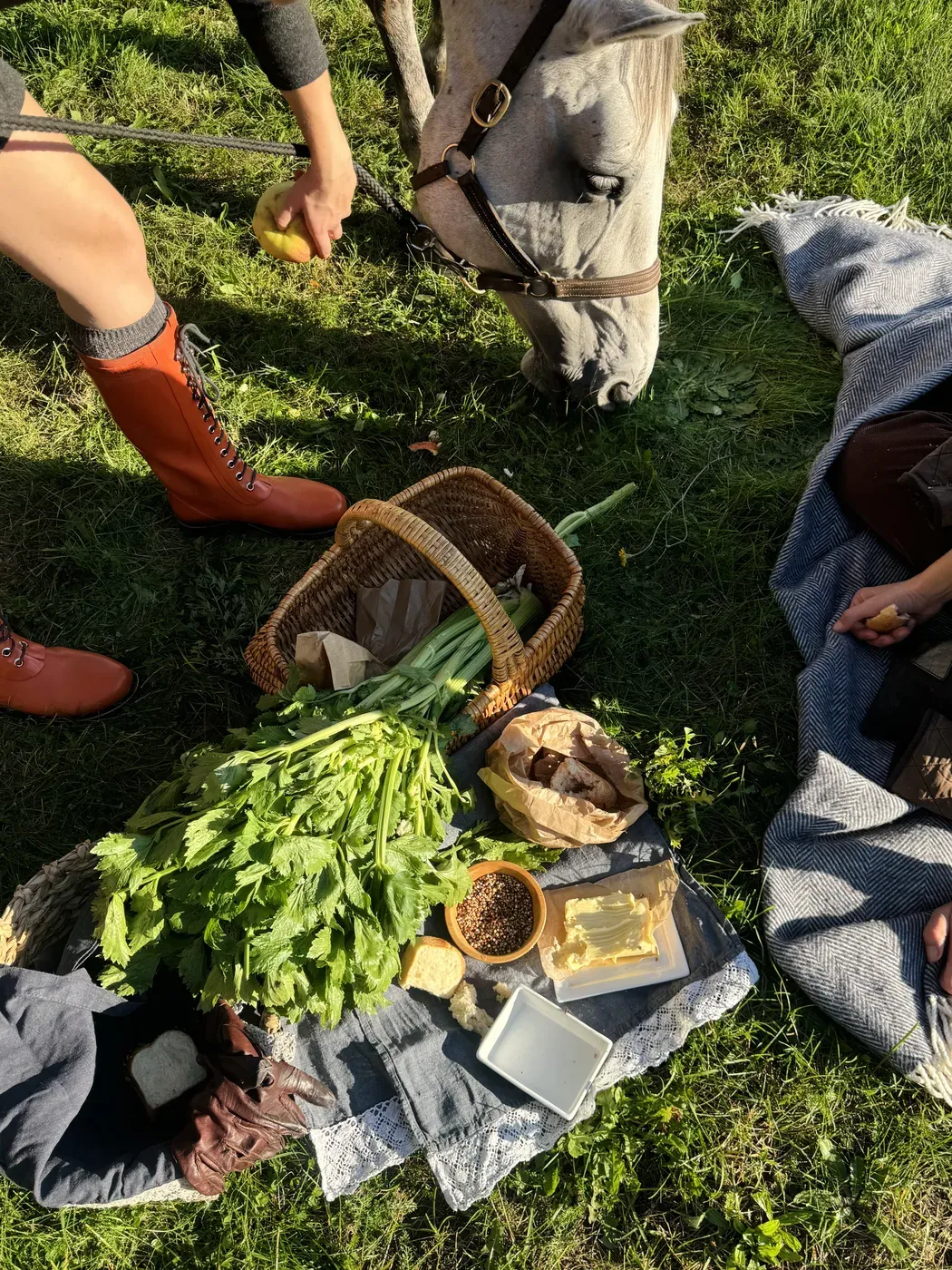 Līva with her horse and dog in the Latvian countryside
